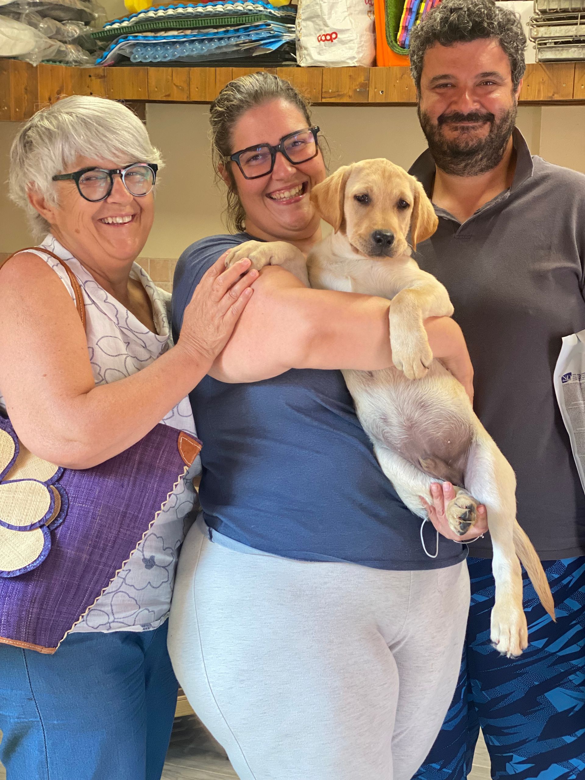 Allevamento Enci FCI Labrador in provincia di Pavia - I Labrador di Casa Paraporti - Consegna cuccioli