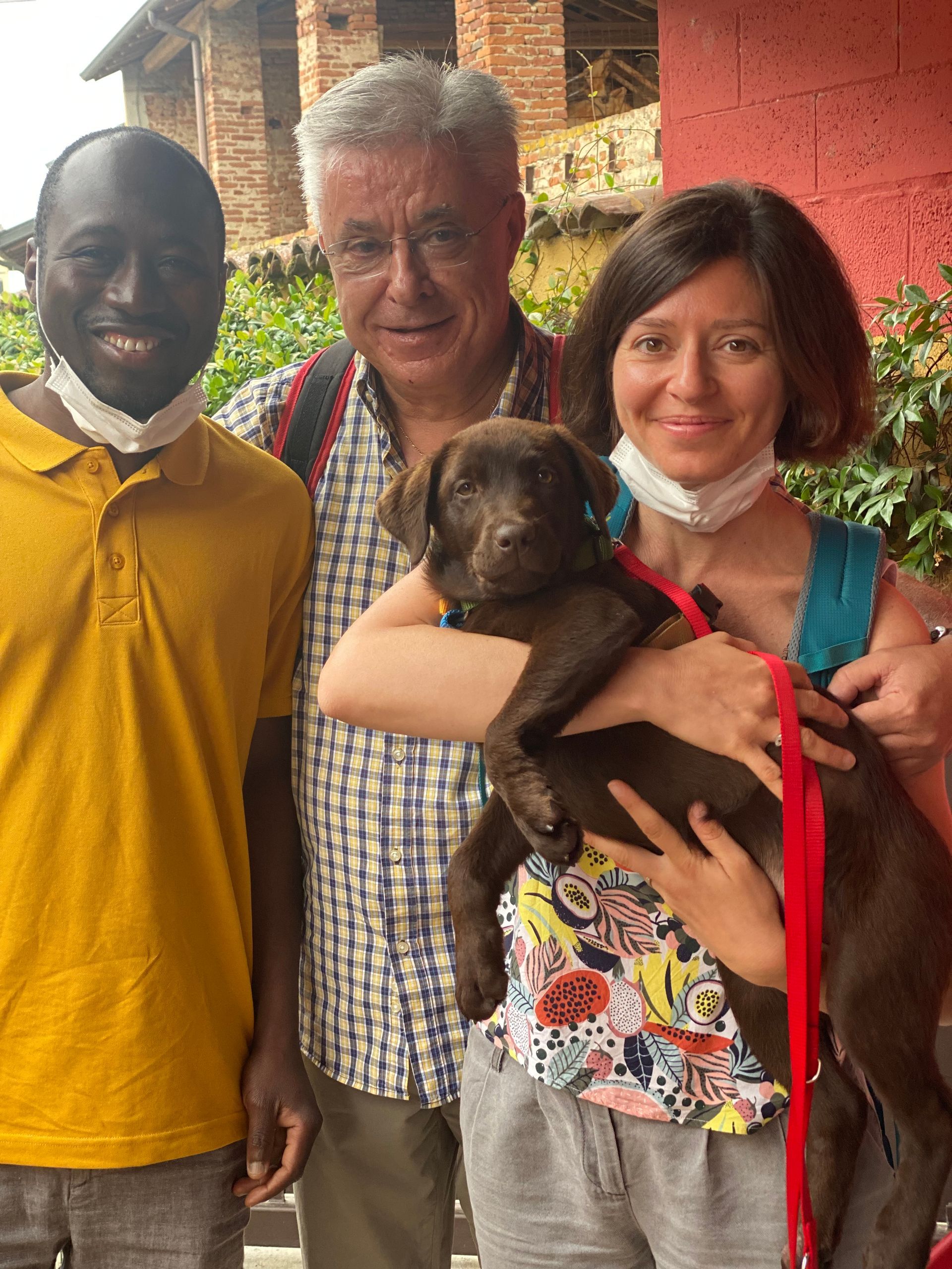 Allevamento Enci FCI Labrador in provincia di Pavia - I Labrador di Casa Paraporti - Consegna cuccioli