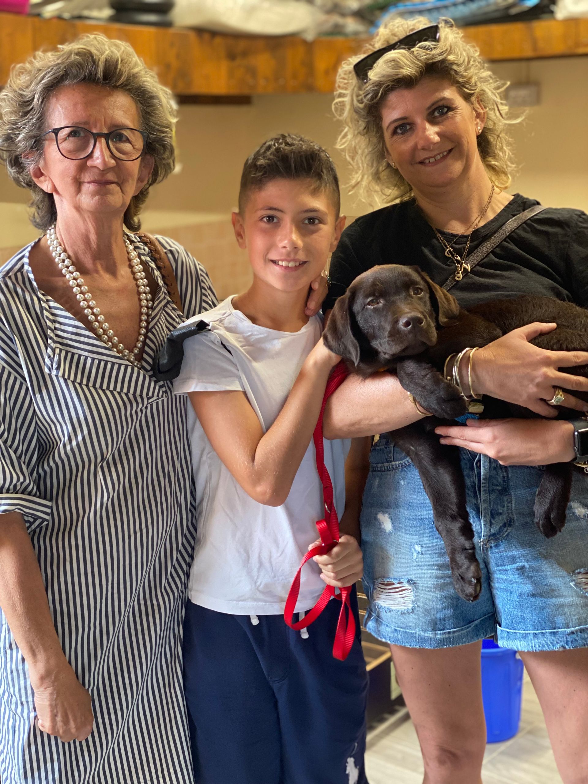 Allevamento Enci FCI Labrador in provincia di Pavia - I Labrador di Casa Paraporti - Consegna cuccioli
