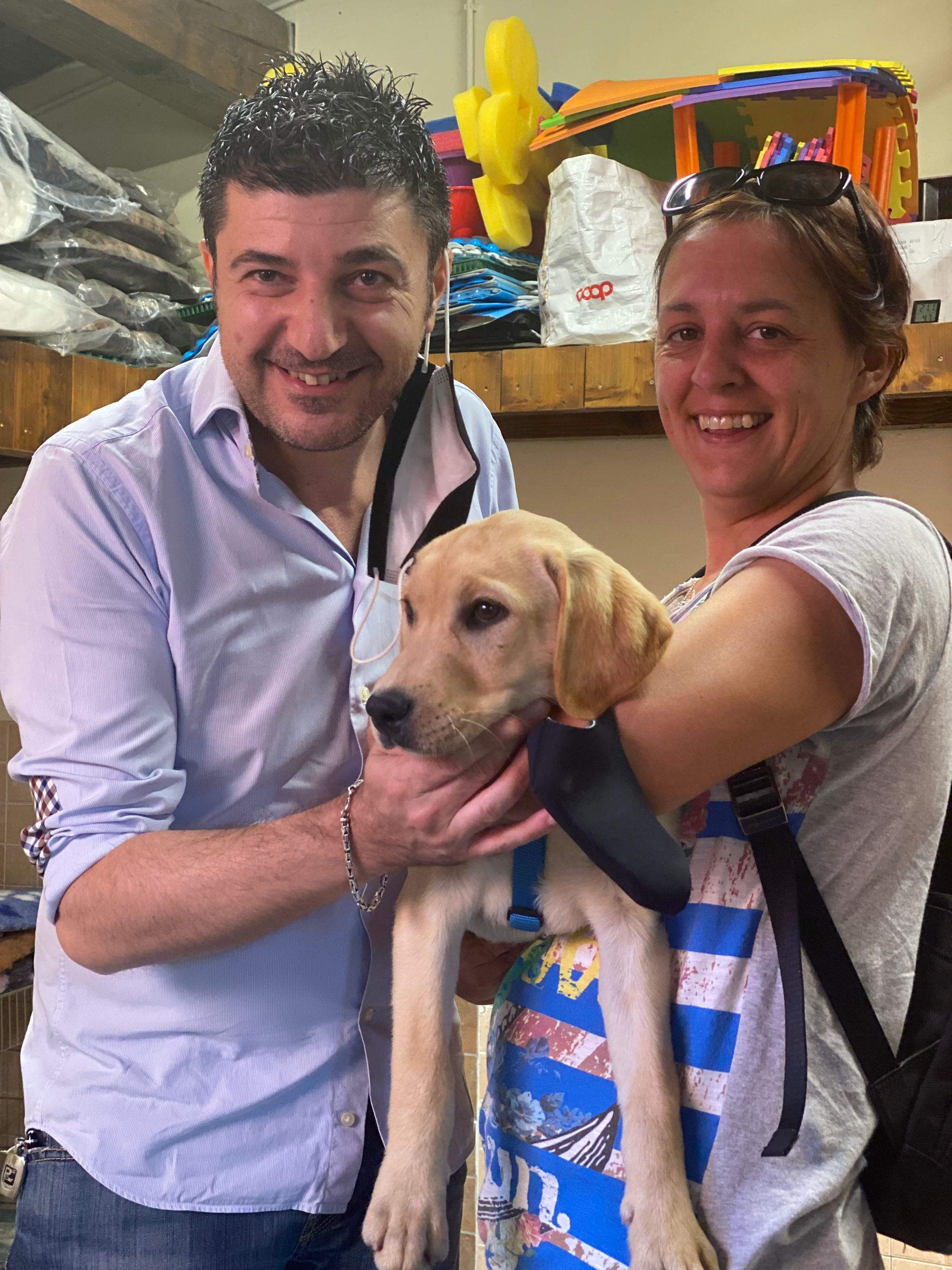 Allevamento Enci FCI Labrador in provincia di Pavia - I Labrador di Casa Paraporti - Consegna cuccioli