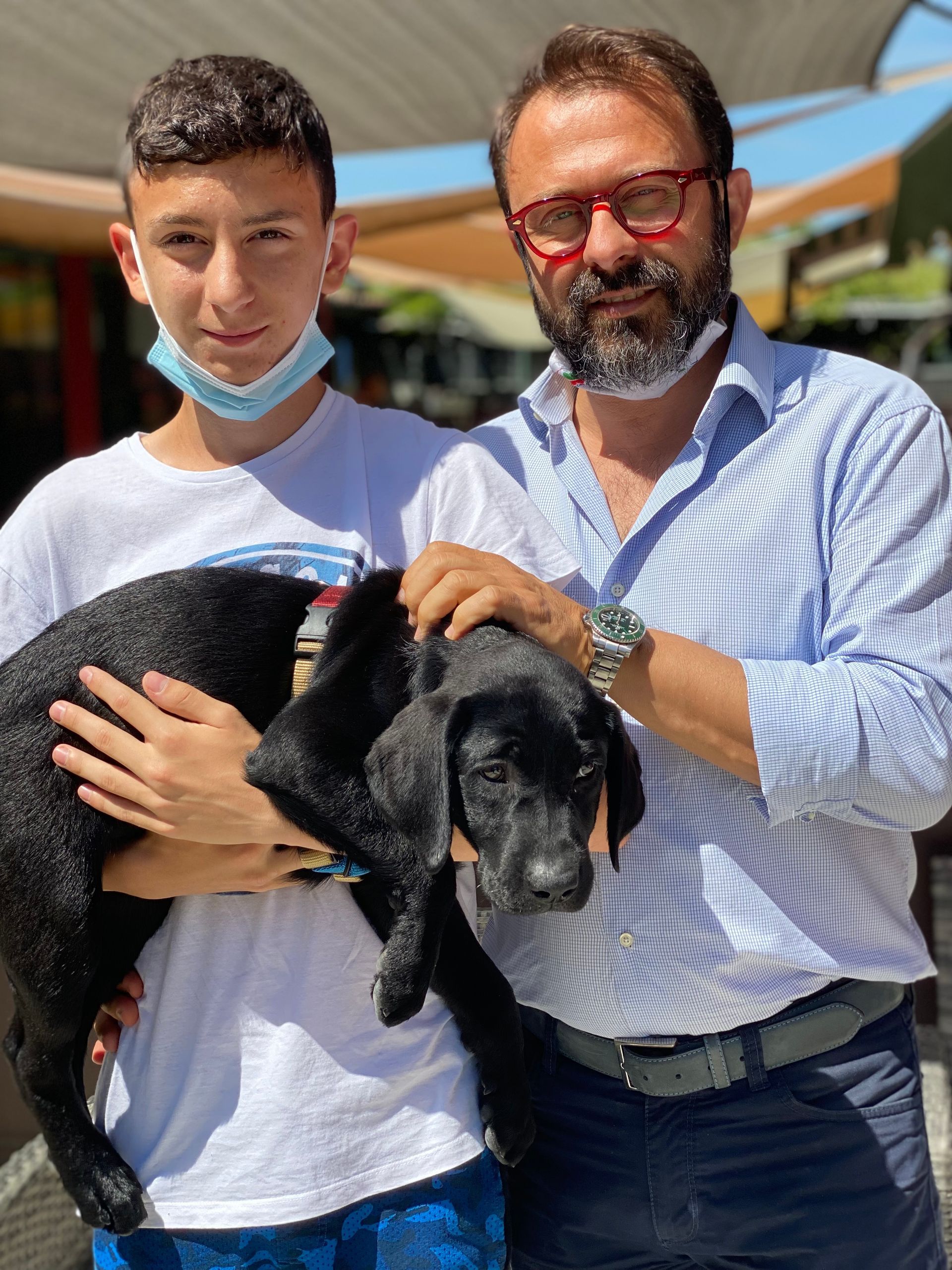 Allevamento Enci FCI Labrador in provincia di Pavia - I Labrador di Casa Paraporti - Consegna cuccioli