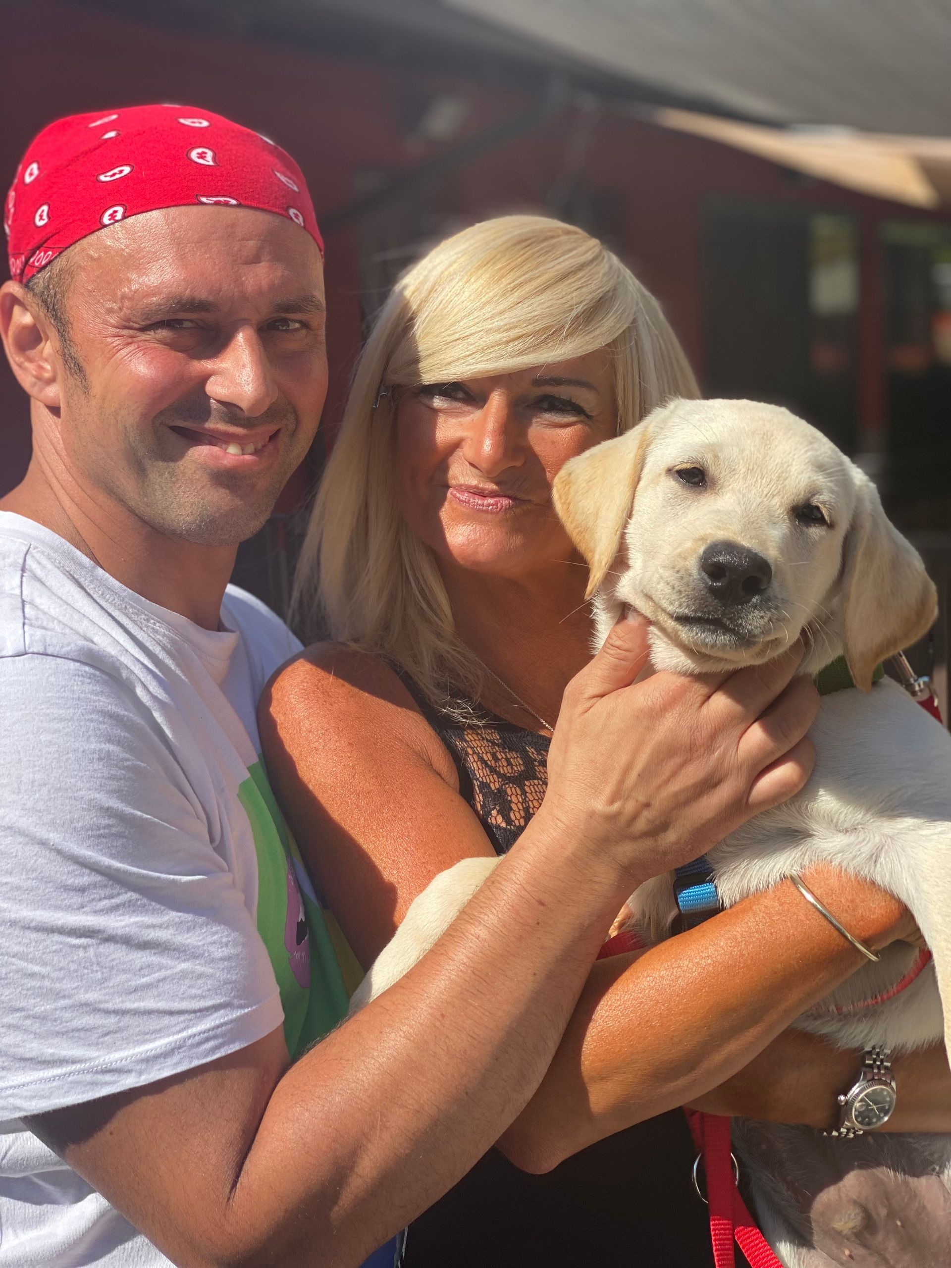Allevamento Enci FCI Labrador in provincia di Pavia - I Labrador di Casa Paraporti - Consegna cuccioli