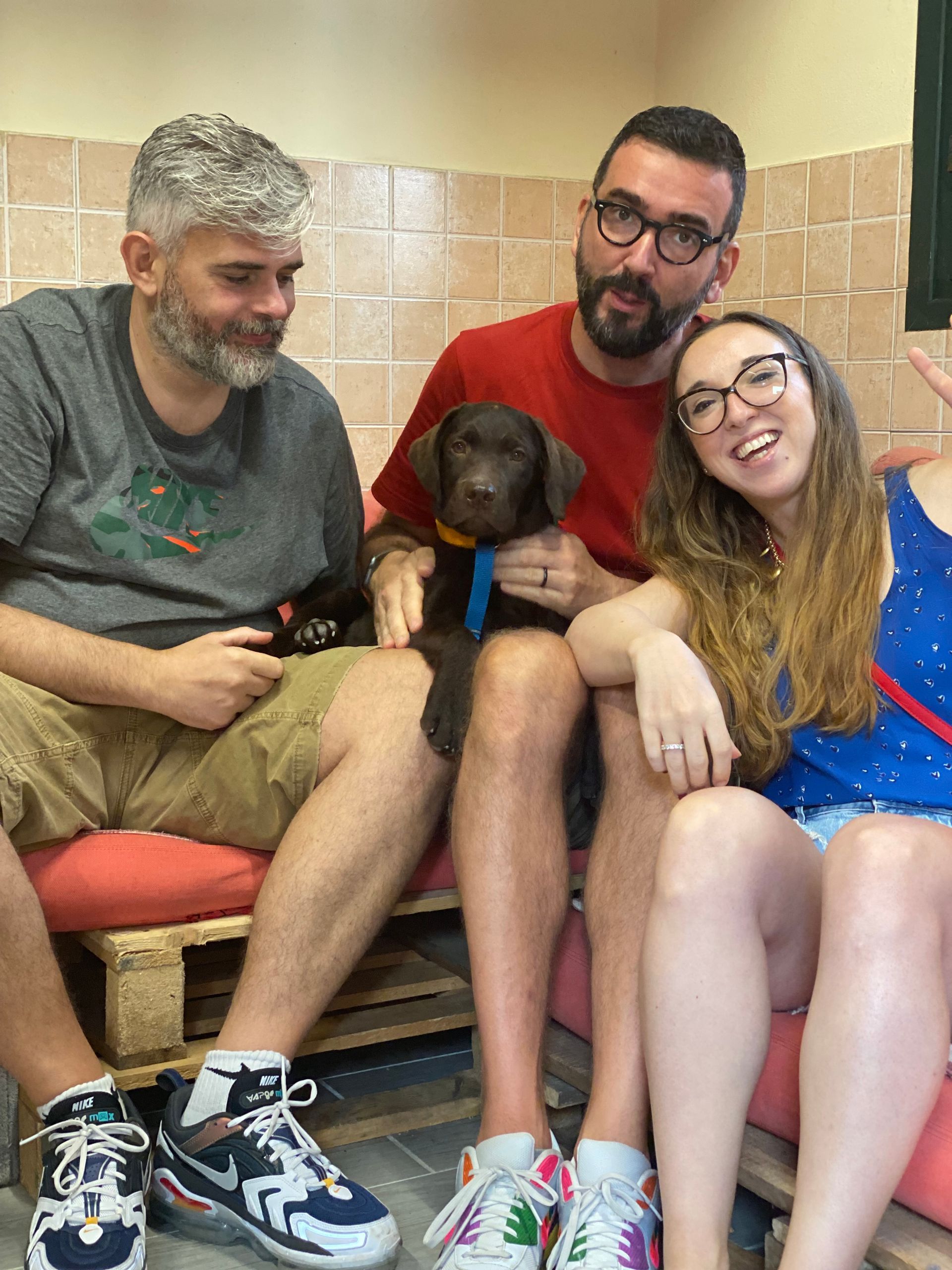 Allevamento Enci FCI Labrador in provincia di Pavia - I Labrador di Casa Paraporti - Consegna cuccioli
