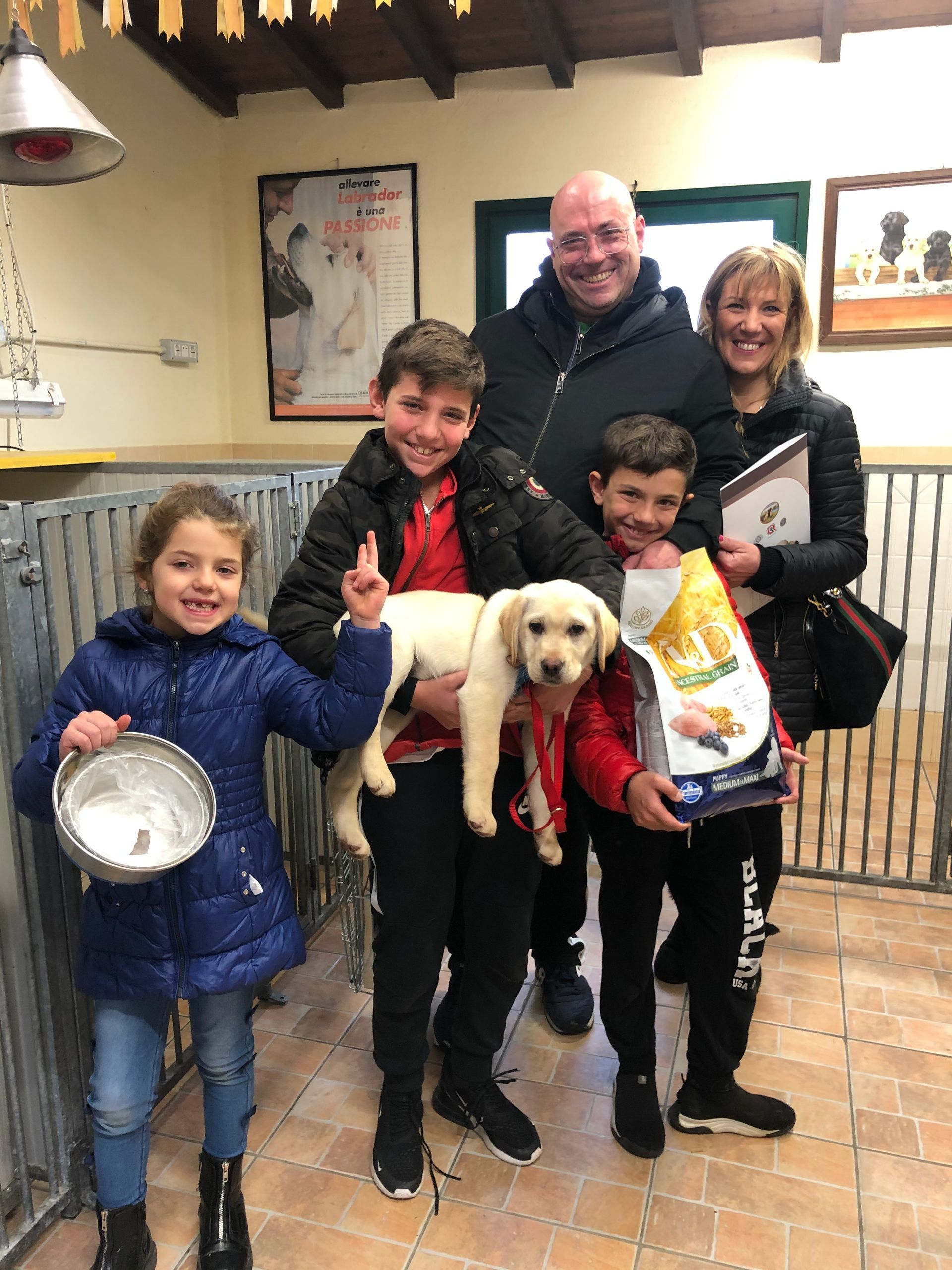 Allevamento Enci FCI Labrador in provincia di Pavia - I Labrador di Casa Paraporti - Consegna cuccioli