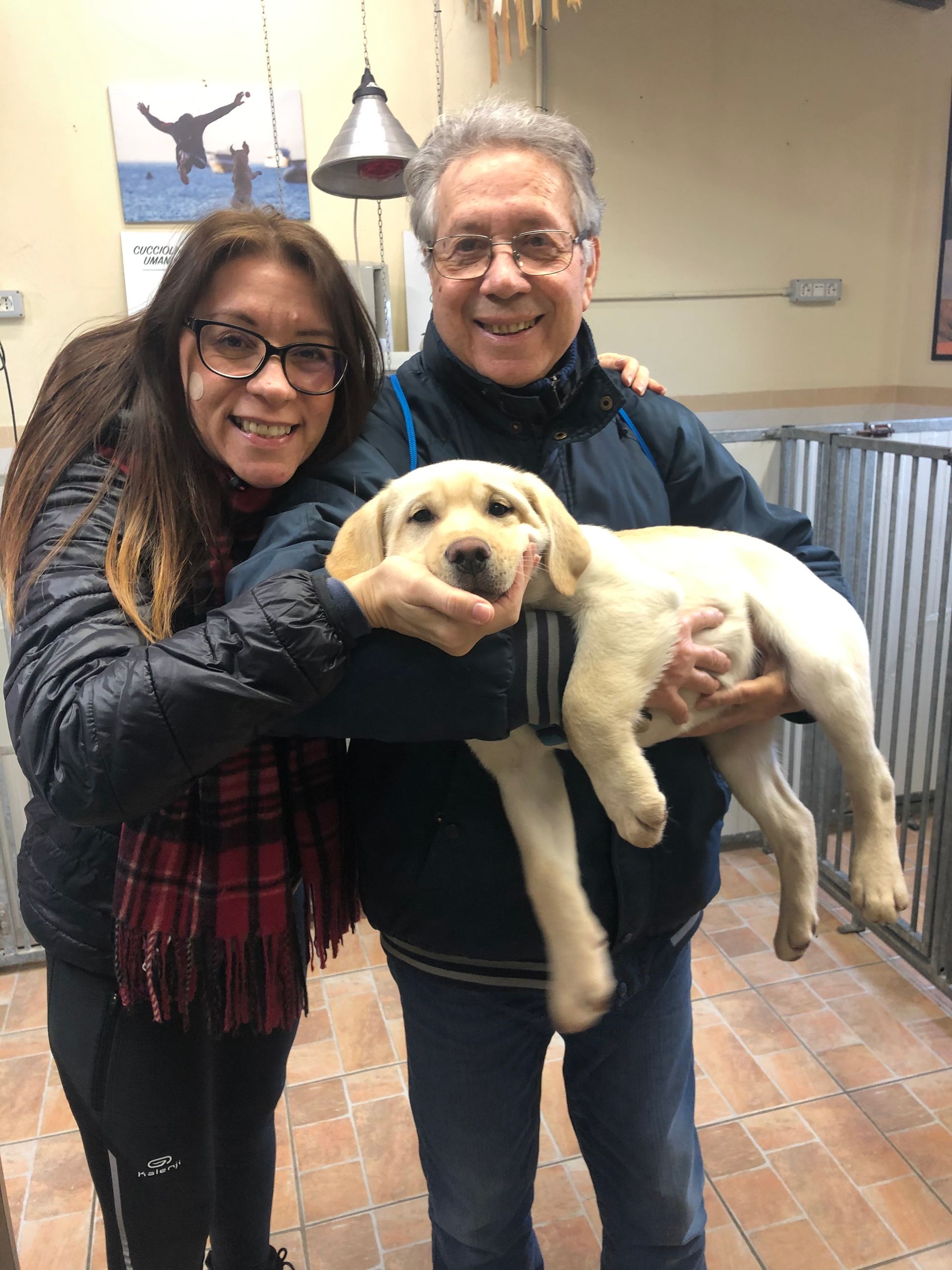 Allevamento Enci FCI Labrador in provincia di Pavia - I Labrador di Casa Paraporti - Consegna cuccioli