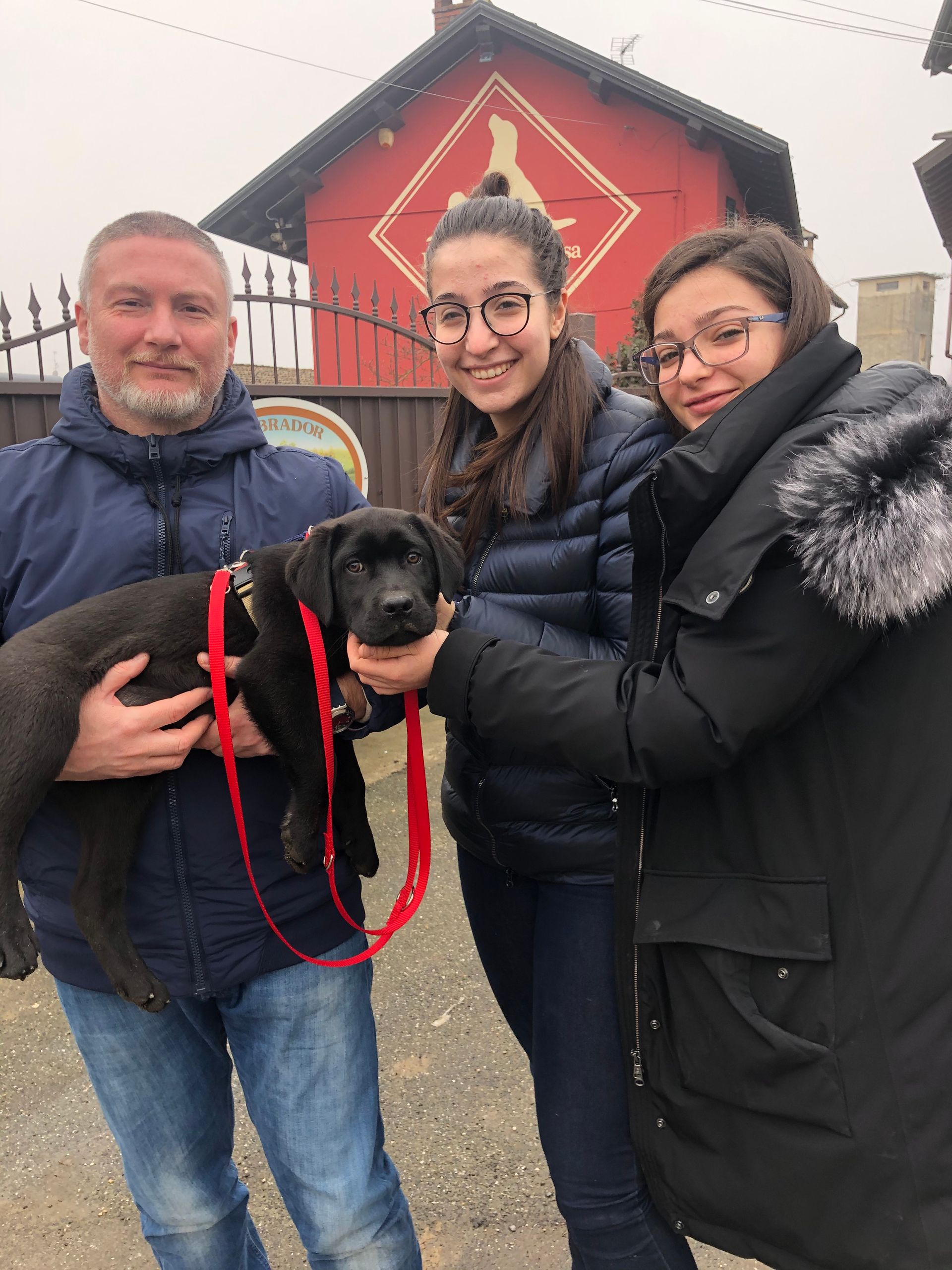 Allevamento Enci FCI Labrador in provincia di Pavia - I Labrador di Casa Paraporti - Consegna cuccioli