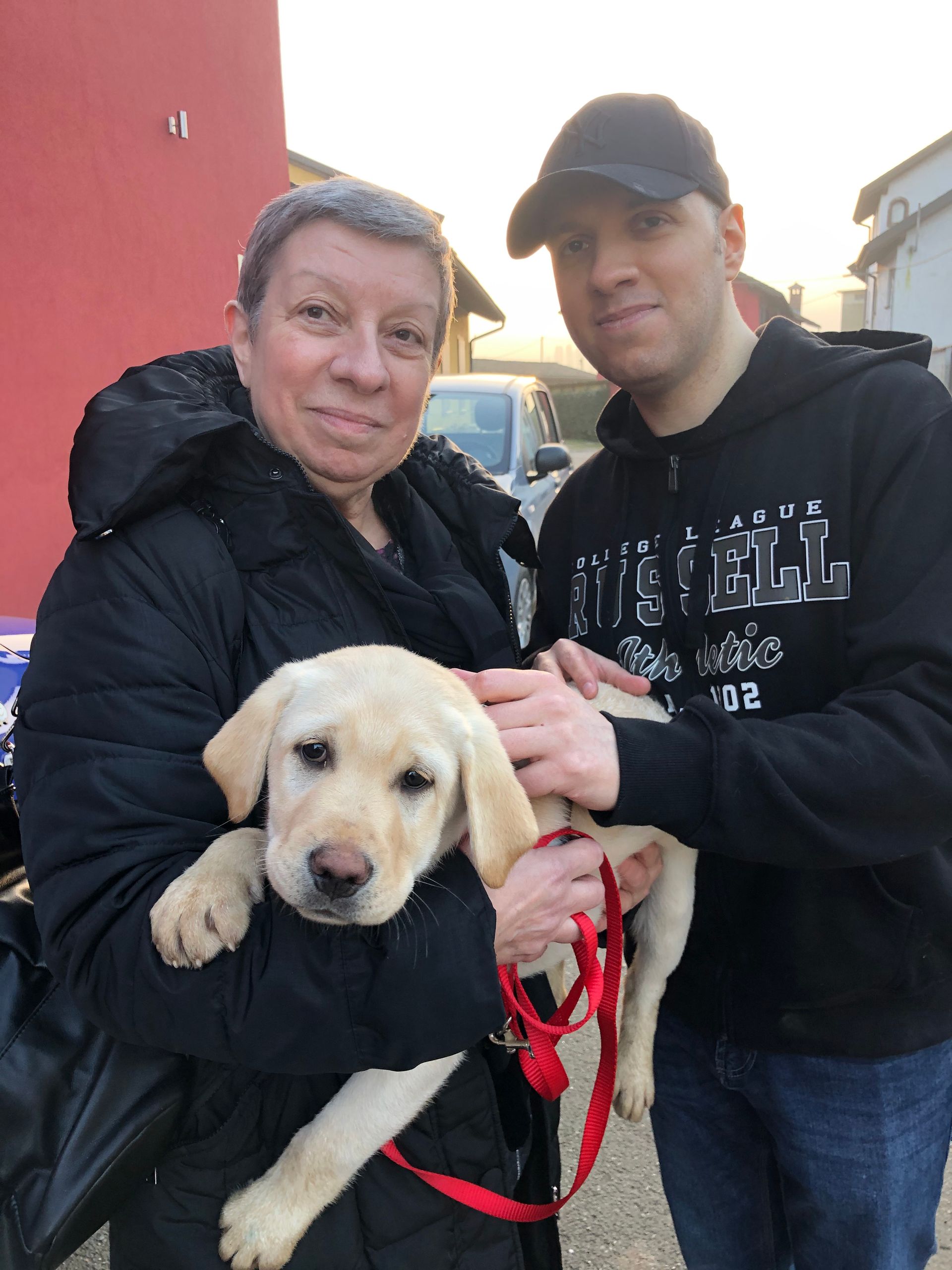 Allevamento Enci FCI Labrador in provincia di Pavia - I Labrador di Casa Paraporti - Consegna cuccioli