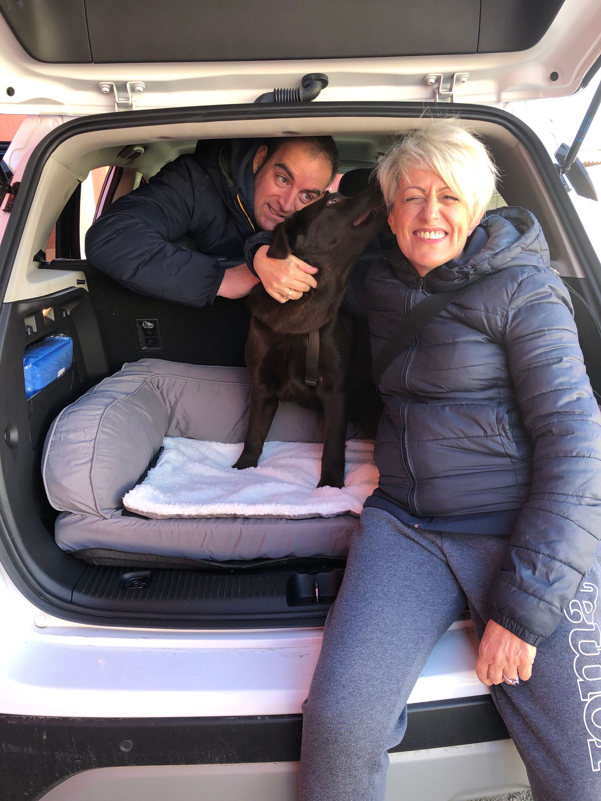 Allevamento Enci FCI Labrador in provincia di Pavia - I Labrador di Casa Paraporti - Consegna cuccioli