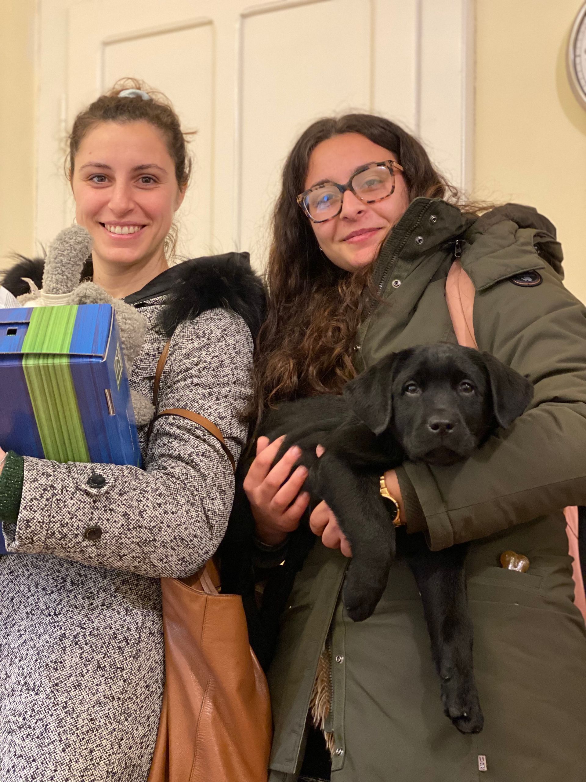 Allevamento Enci FCI Labrador in provincia di Pavia - I Labrador di Casa Paraporti - Consegna cuccioli