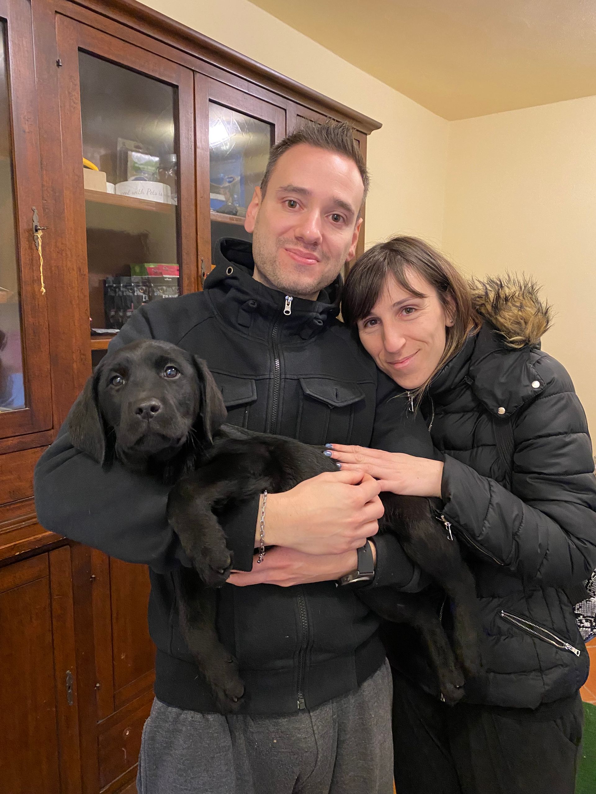 Allevamento Enci FCI Labrador in provincia di Pavia - I Labrador di Casa Paraporti - Consegna cuccioli