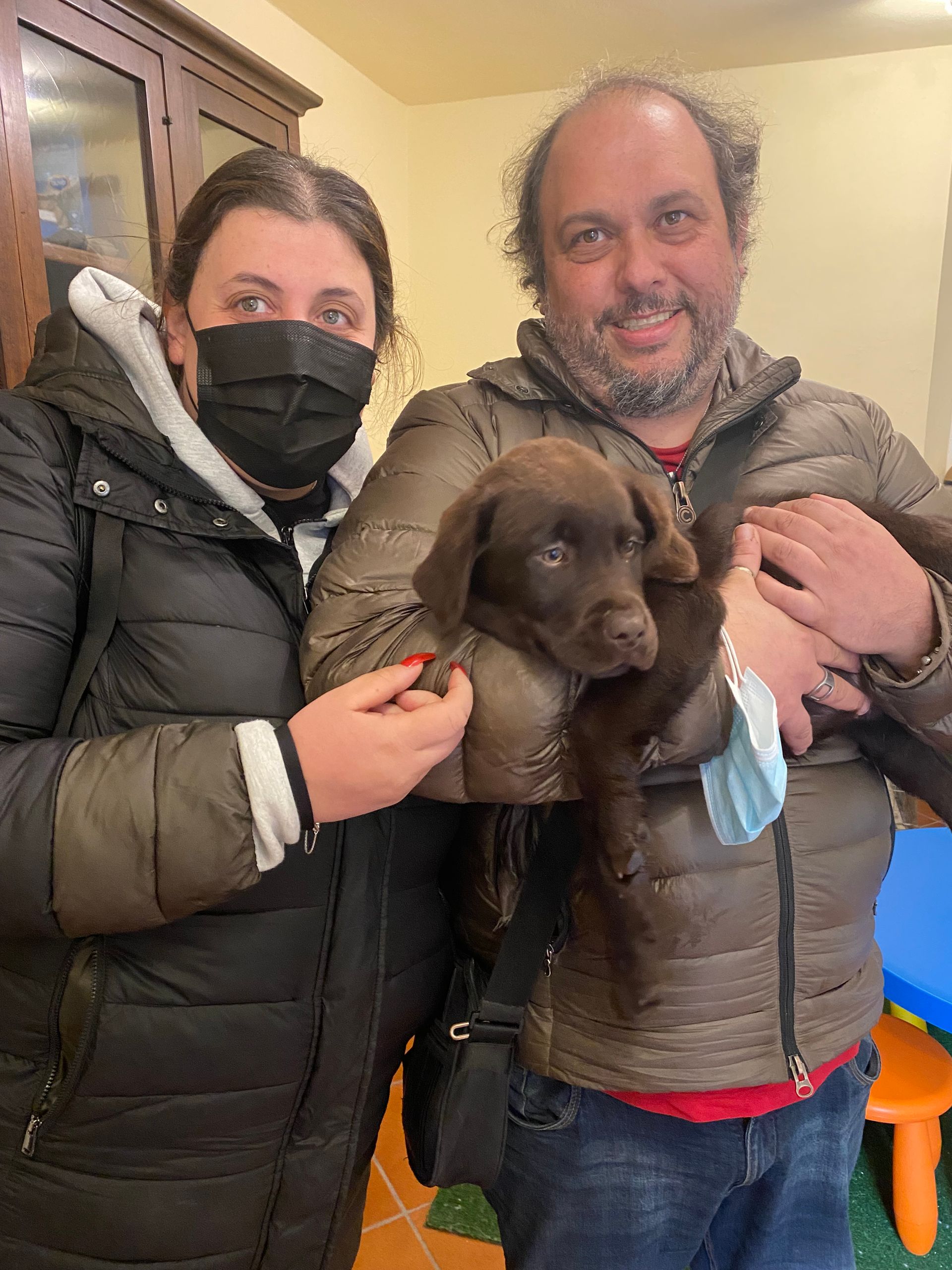 Allevamento Enci FCI Labrador in provincia di Pavia - I Labrador di Casa Paraporti - Consegna cuccioli