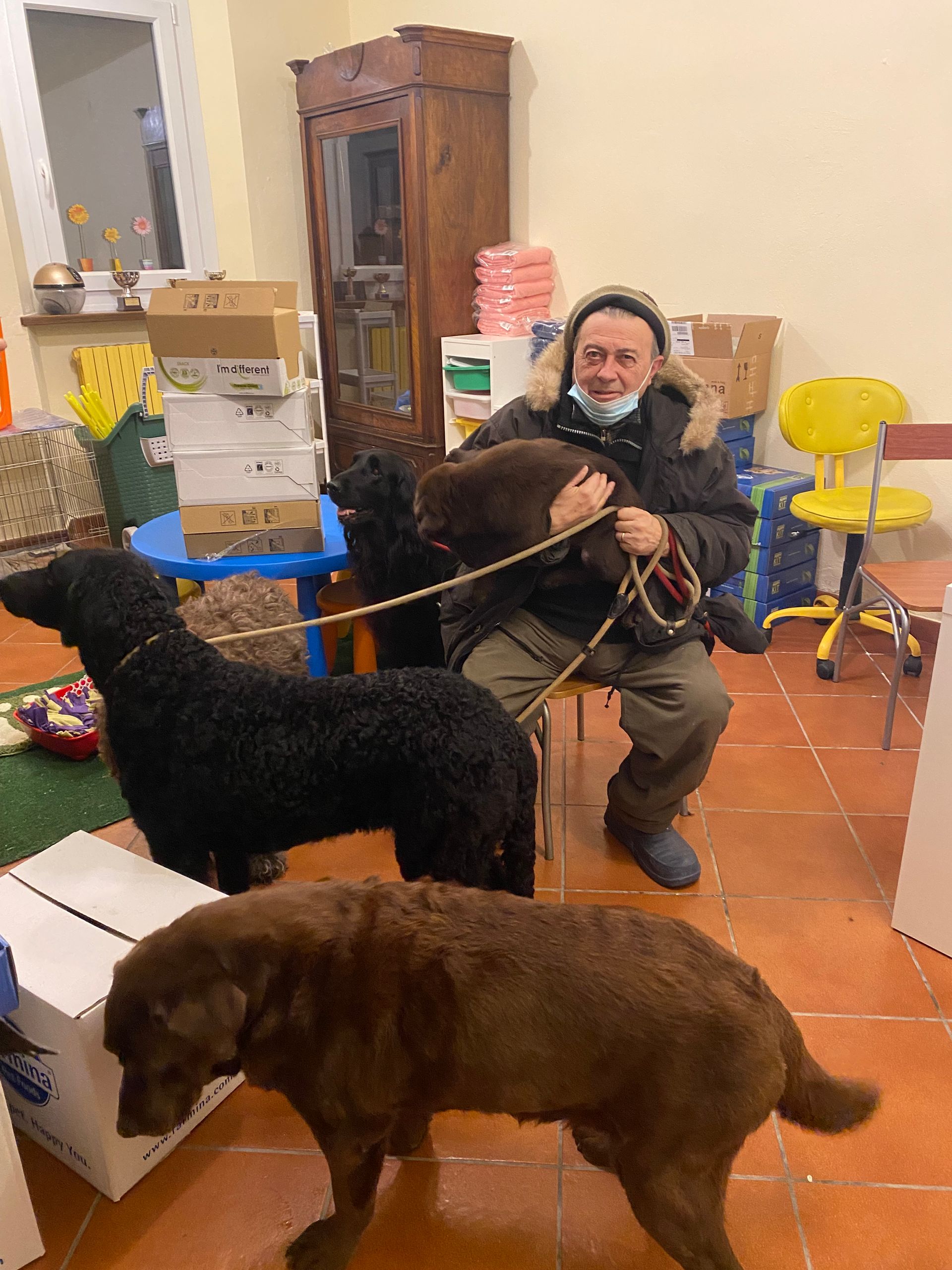 Allevamento Enci FCI Labrador in provincia di Pavia - I Labrador di Casa Paraporti - Consegna cuccioli