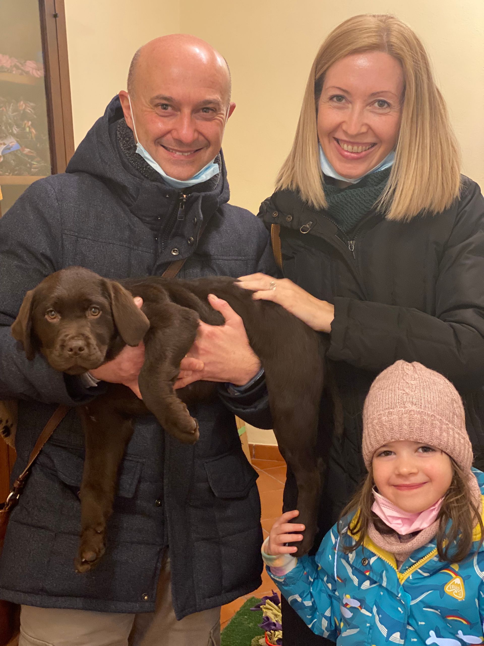 Allevamento Enci FCI Labrador in provincia di Pavia - I Labrador di Casa Paraporti - Consegna cuccioli