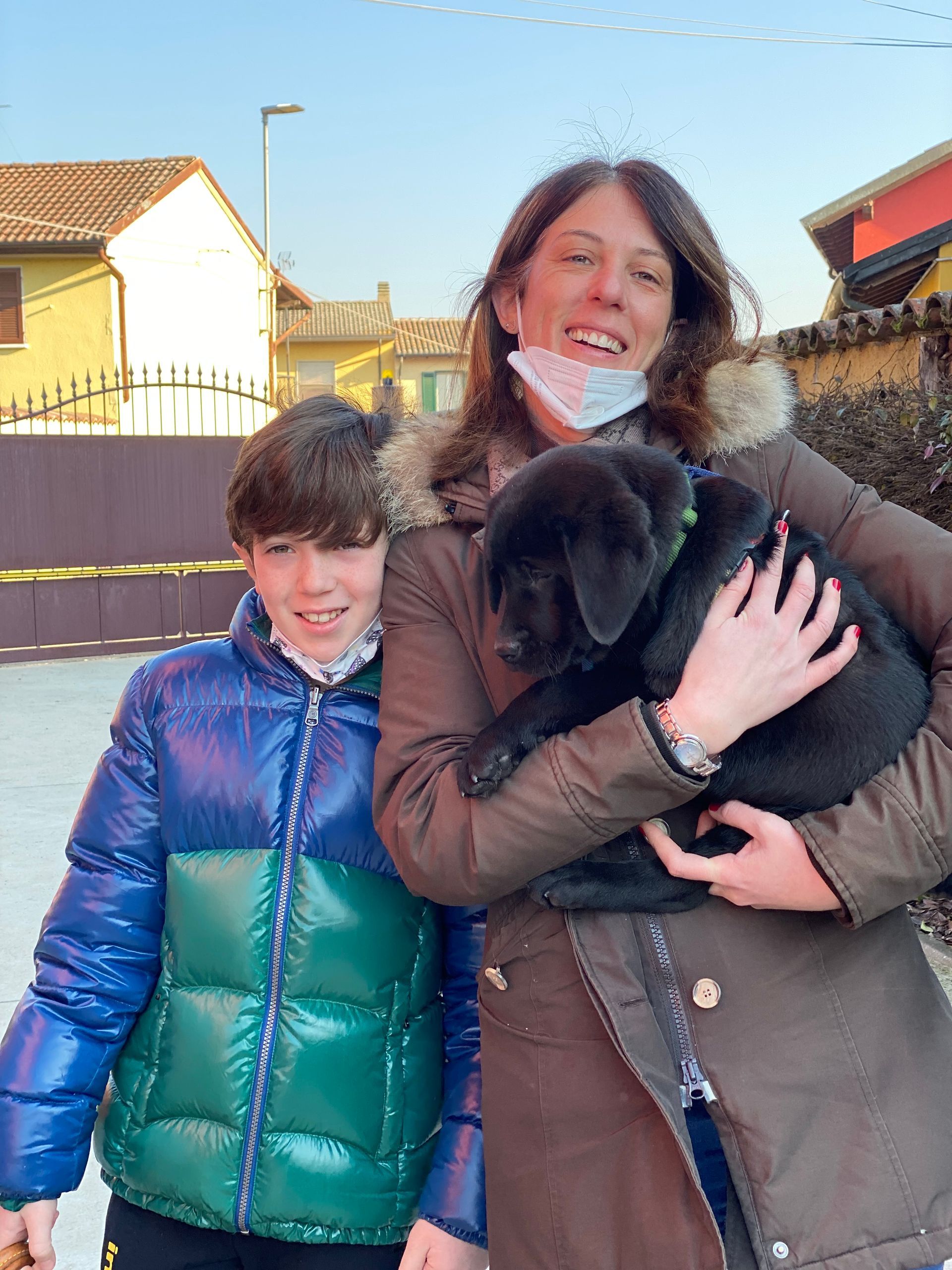 Allevamento Enci FCI Labrador in provincia di Pavia - I Labrador di Casa Paraporti - Consegna cuccioli
