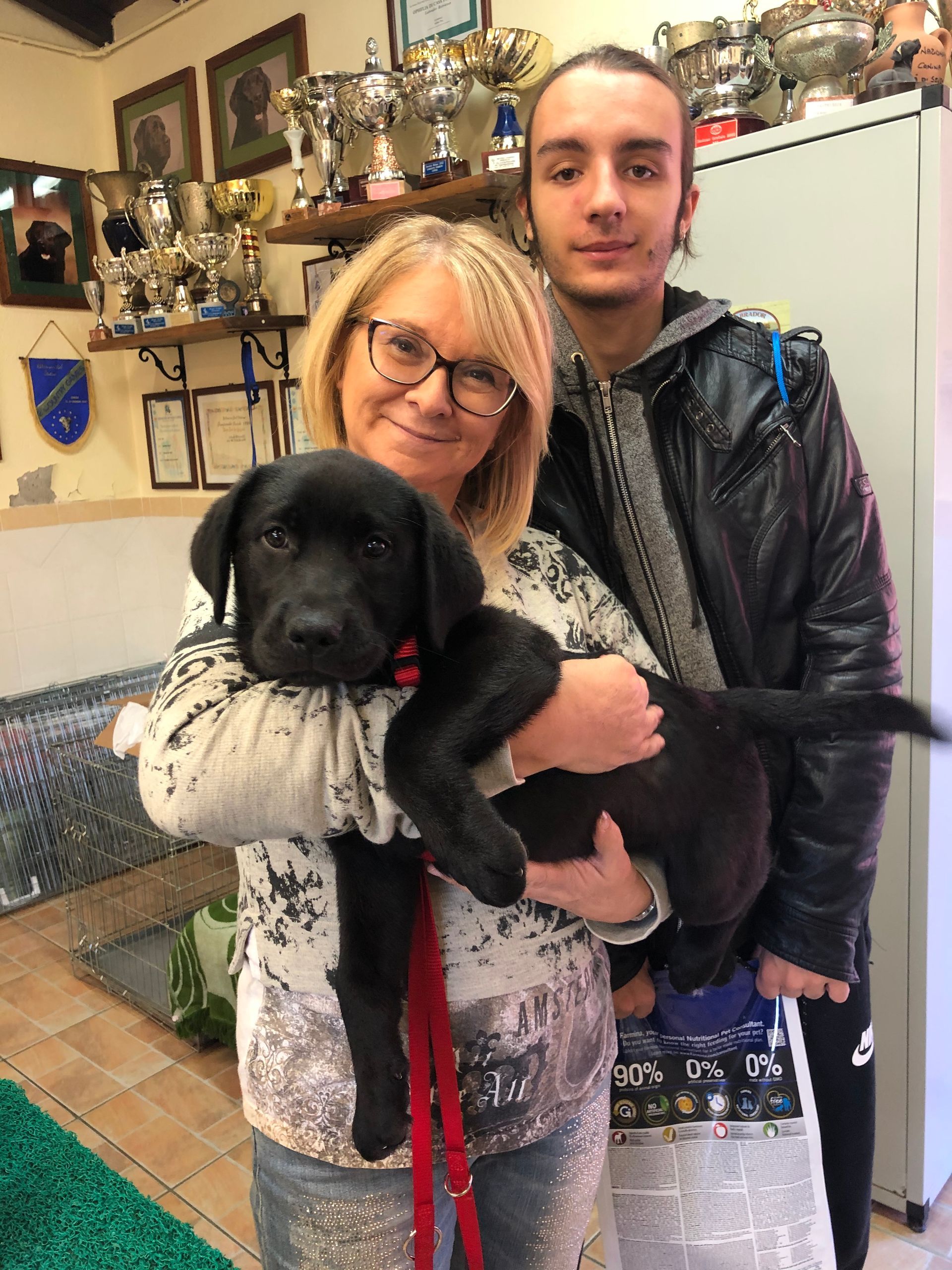 Allevamento Enci FCI Labrador in provincia di Pavia - I Labrador di Casa Paraporti - Consegna cuccioli