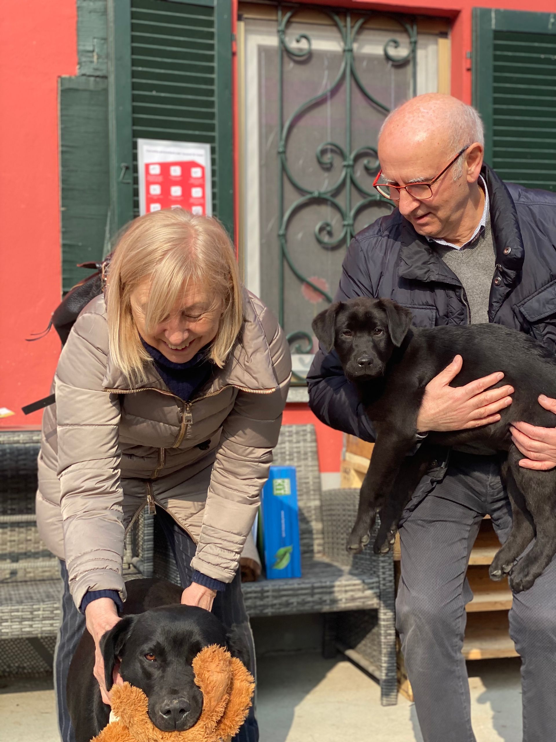 Allevamento Enci FCI Labrador in provincia di Pavia - I Labrador di Casa Paraporti - Consegna cuccioli