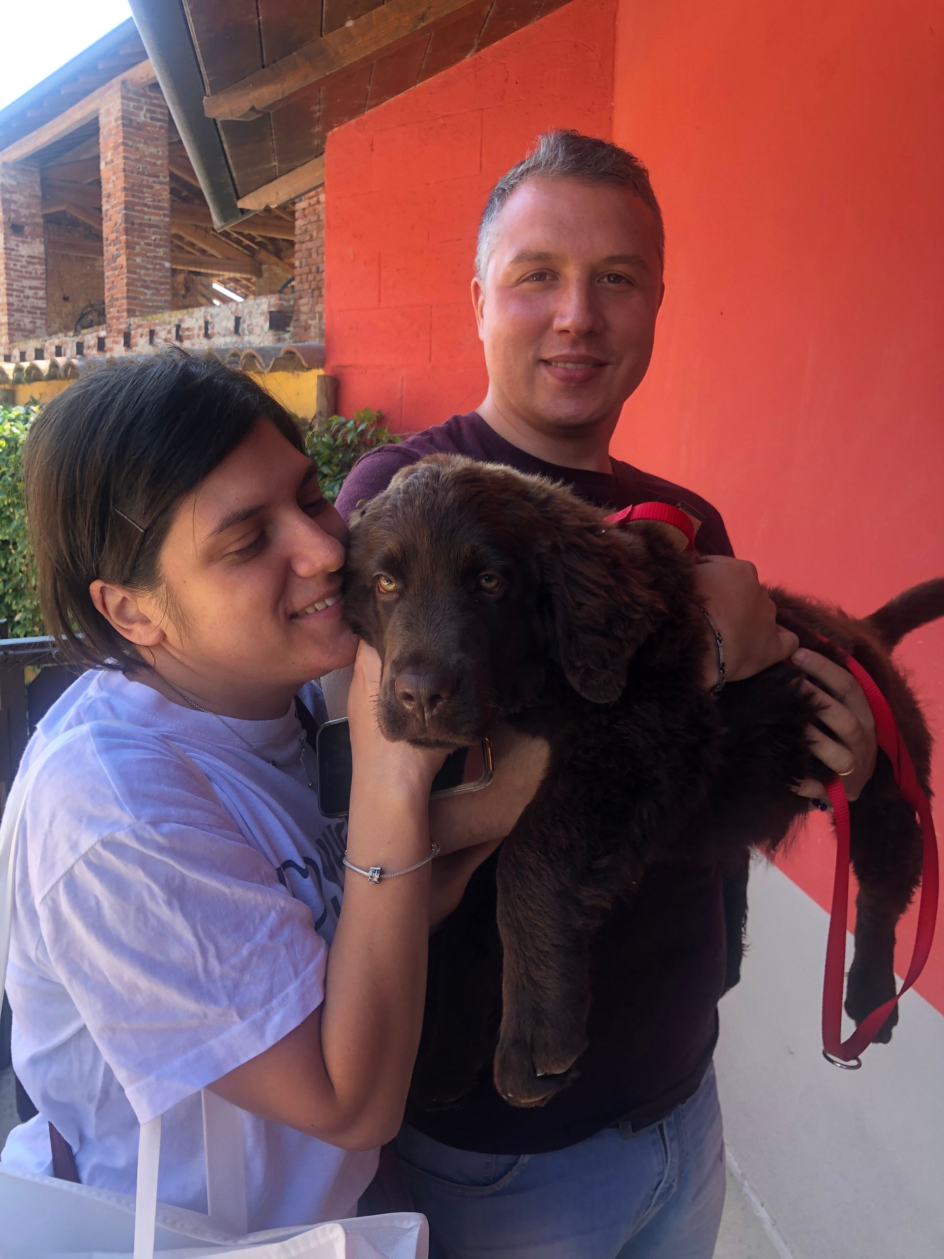 Allevamento Enci FCI Labrador in provincia di Pavia - I Labrador di Casa Paraporti - Consegna cuccioli