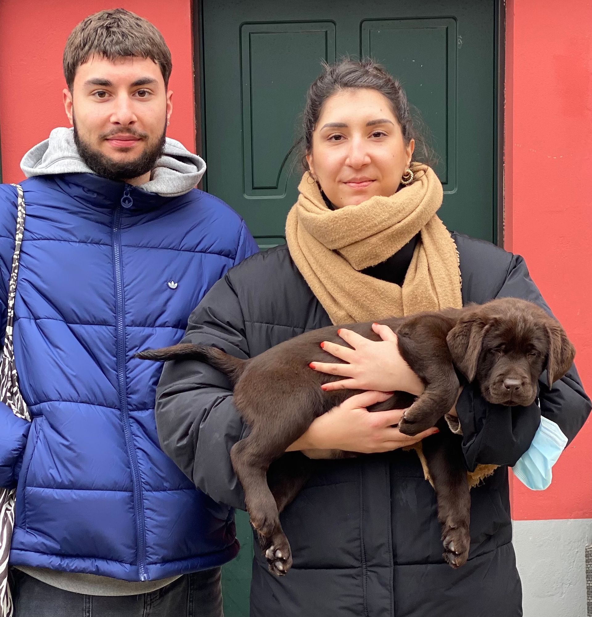 Allevamento Enci FCI Labrador in provincia di Pavia - I Labrador di Casa Paraporti - Consegna cuccioli