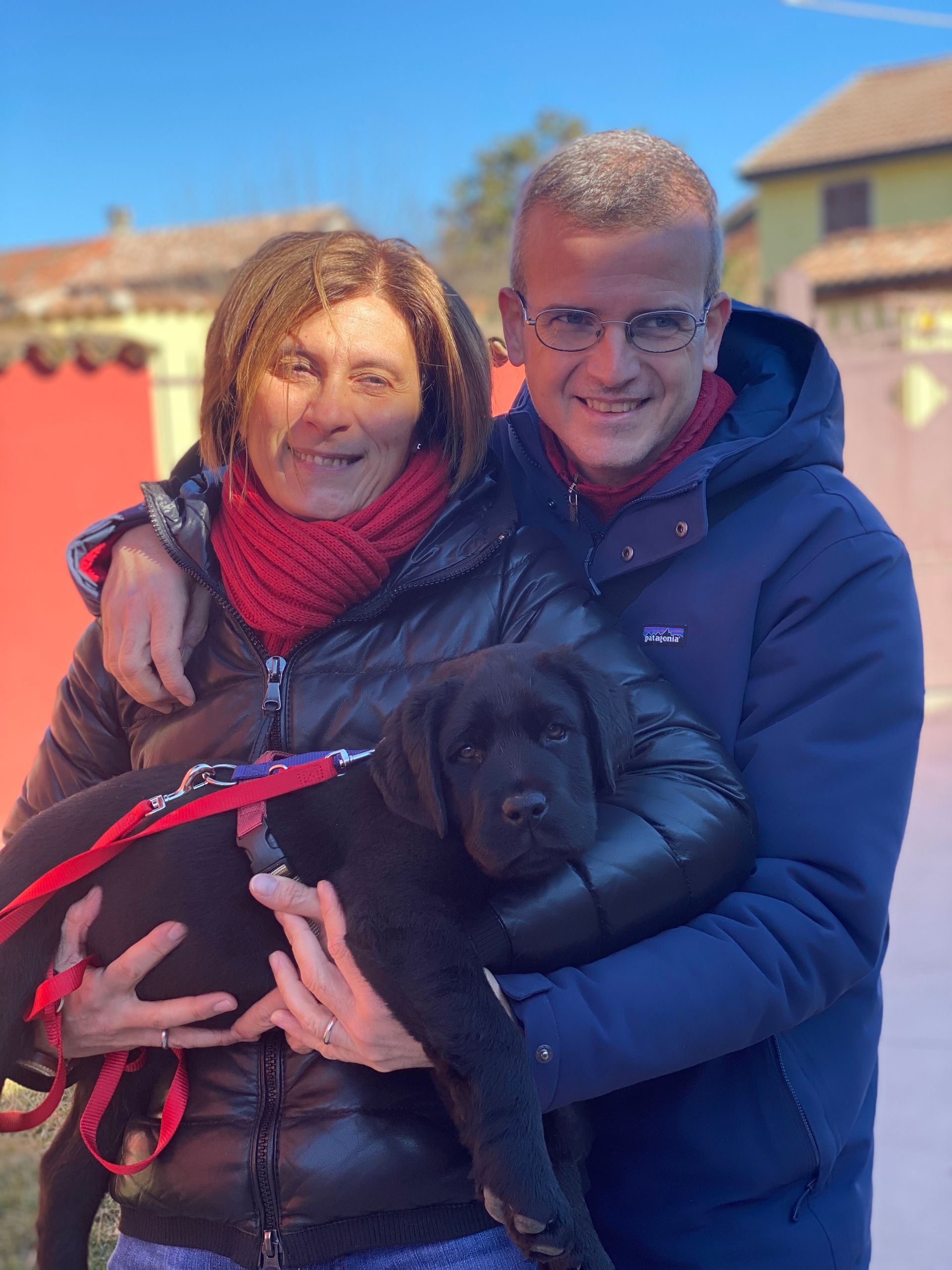 Allevamento Enci FCI Labrador in provincia di Pavia - I Labrador di Casa Paraporti - Consegna cuccioli