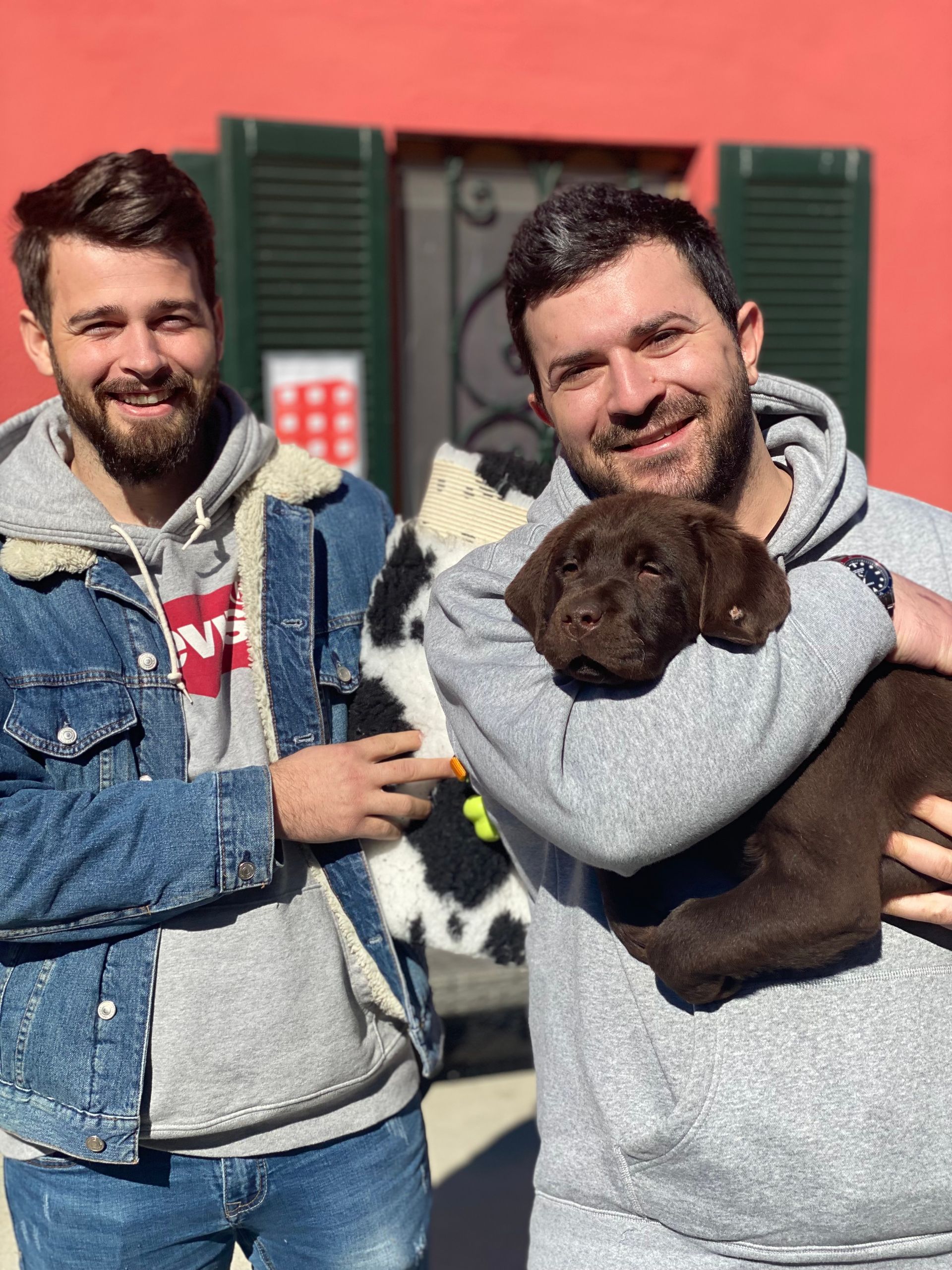 Allevamento Enci FCI Labrador in provincia di Pavia - I Labrador di Casa Paraporti - Consegna cuccioli