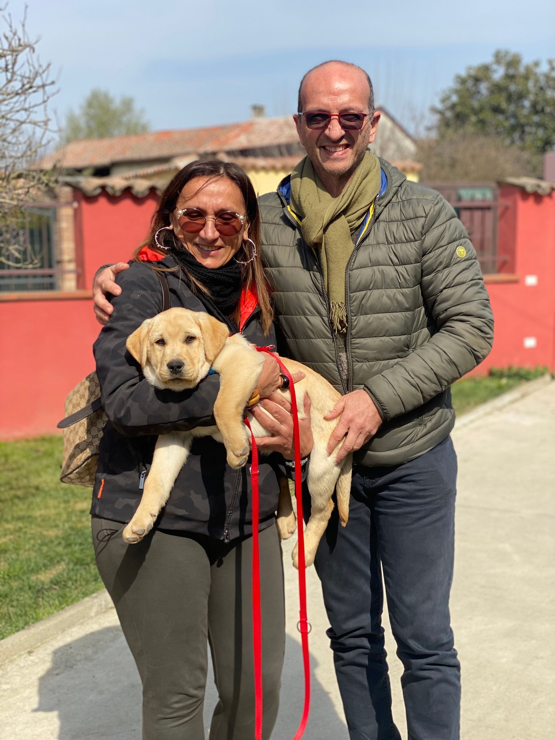 Allevamento Enci FCI Labrador in provincia di Pavia - I Labrador di Casa Paraporti - Consegna cuccioli