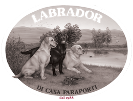 Allevamento Enci FCI Labrador in provincia di Pavia - I Labrador di Casa Paraporti
