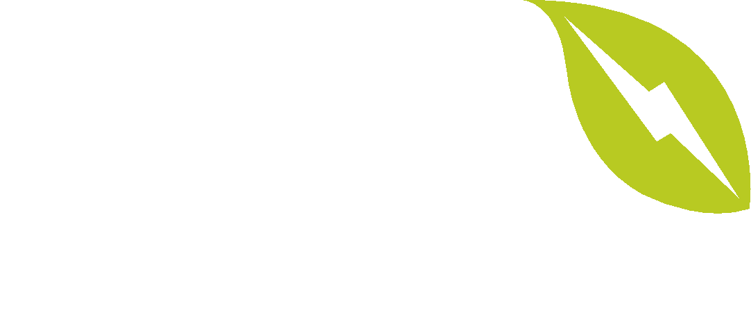 Electrical Systems Solutions, Inc.