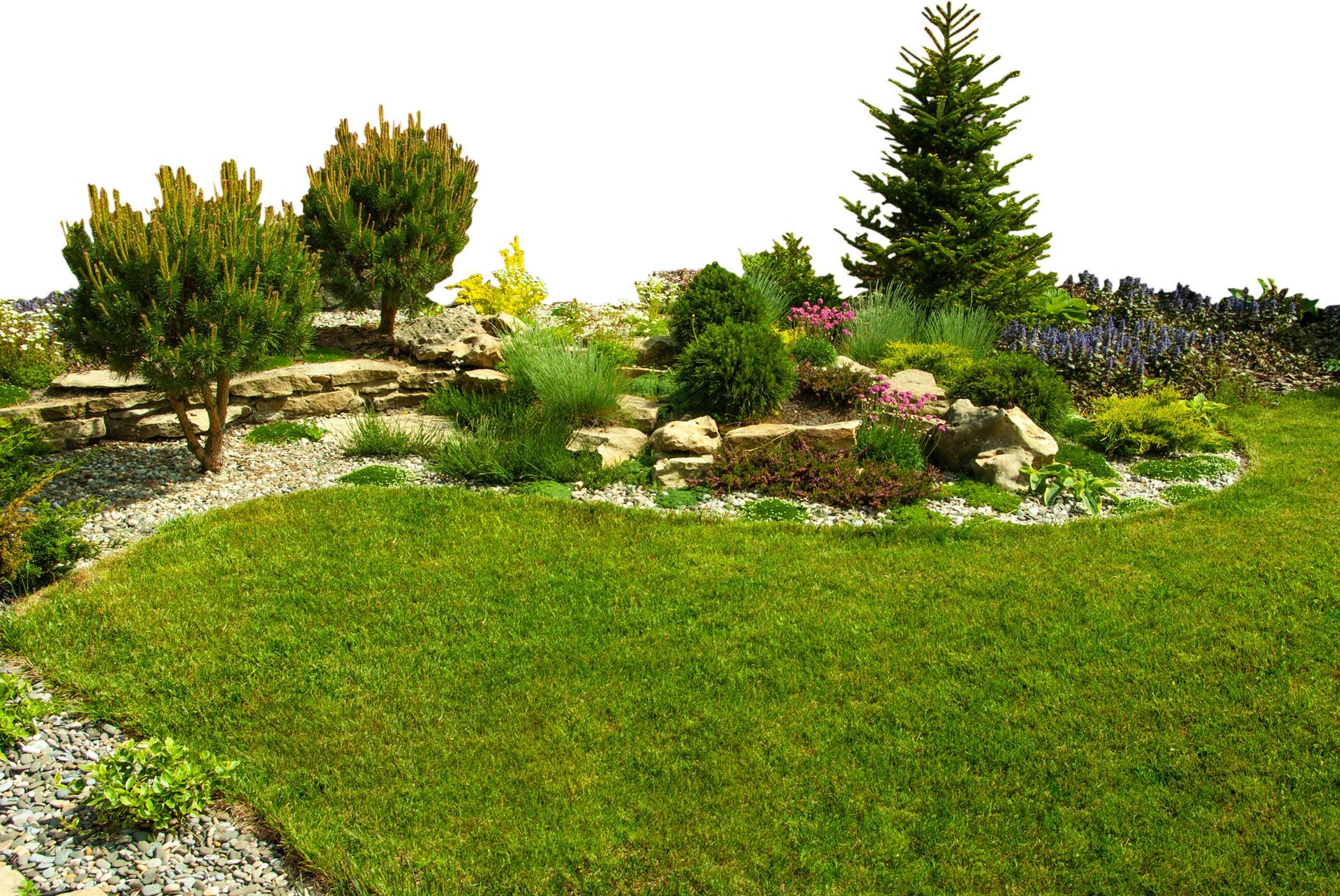 A lush green garden with trees and rocks on a white background.