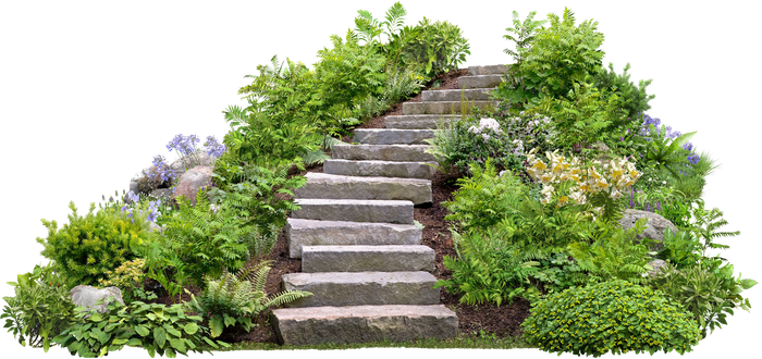 A set of stone stairs leading up to a hill surrounded by plants.