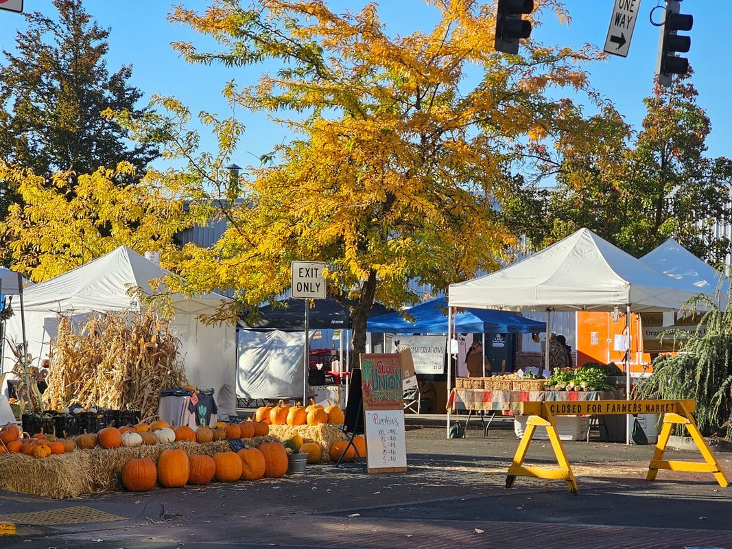 A bunch of pumpkins are sitting on the side of the road at a farmers market.