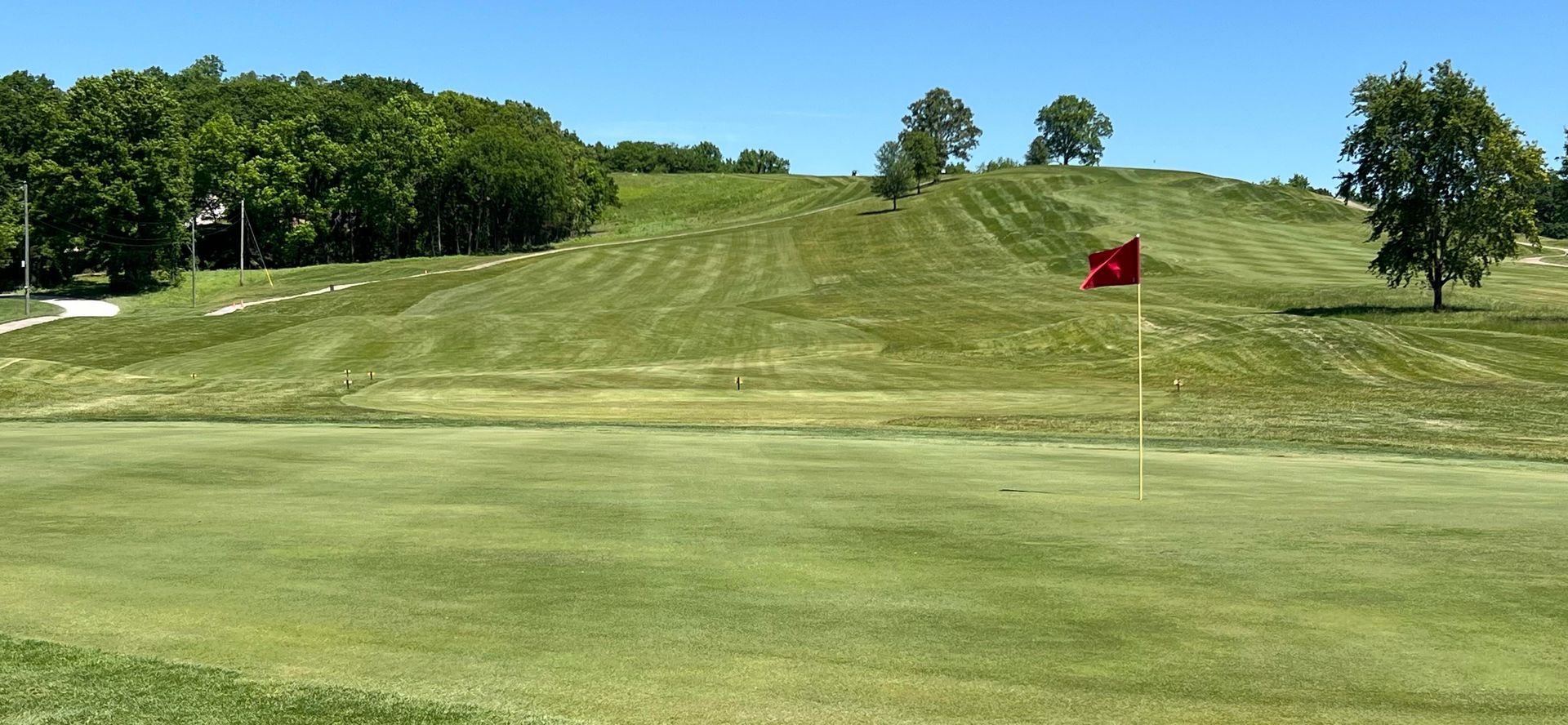 Golf course green with red flag on a sunny hillside, lined by trees.
