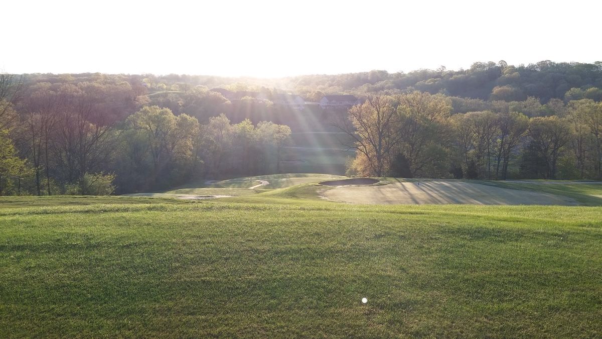 Sunlit grassy field with a forested hillside in the background at sunrise