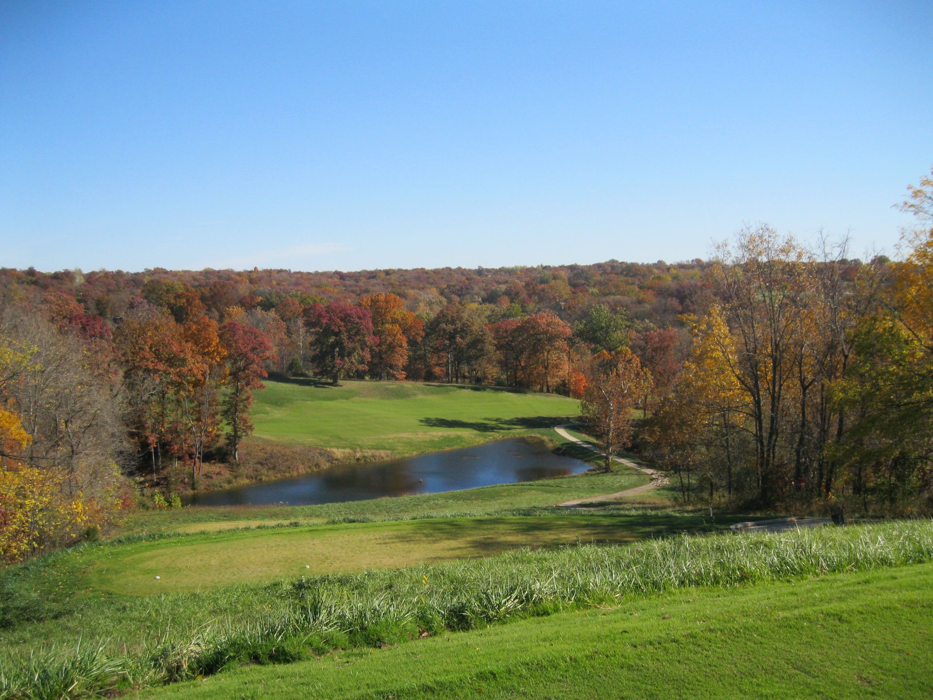 Autumn landscape with a small pond, green meadow, and colorful trees under a clear blue sky