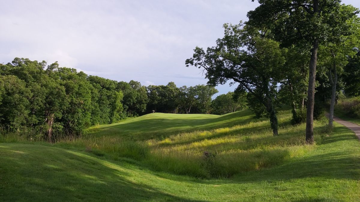 Sunny green meadow with trees and a grassy path under a partly cloudy sky