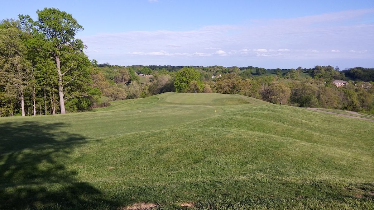 Grassy hilltop meadow with trees on the left and a distant horizon under a blue sky