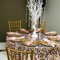 party setup