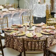 party setup