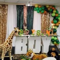 party setup
