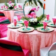 party setup