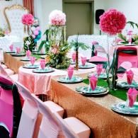 party setup
