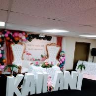 party setup