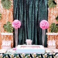 party setup