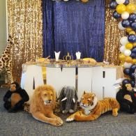 party setup