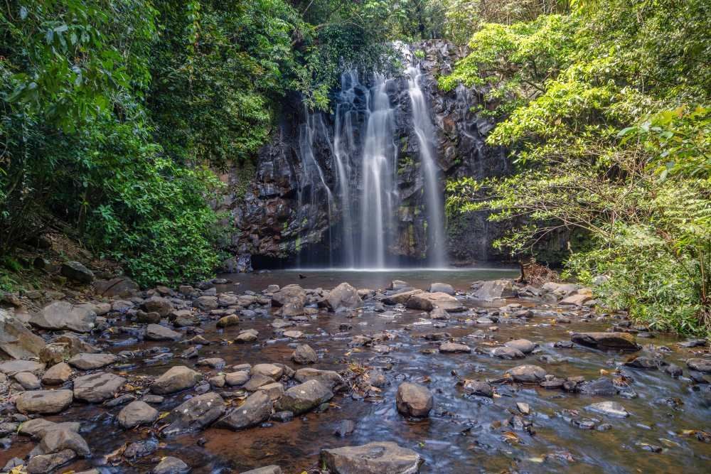 A Waterfall Is Surrounded By Trees And Rocks In The Middle Of A River — A1 Cleaner Carpets N Homecare In Millaa Millaa, QLD