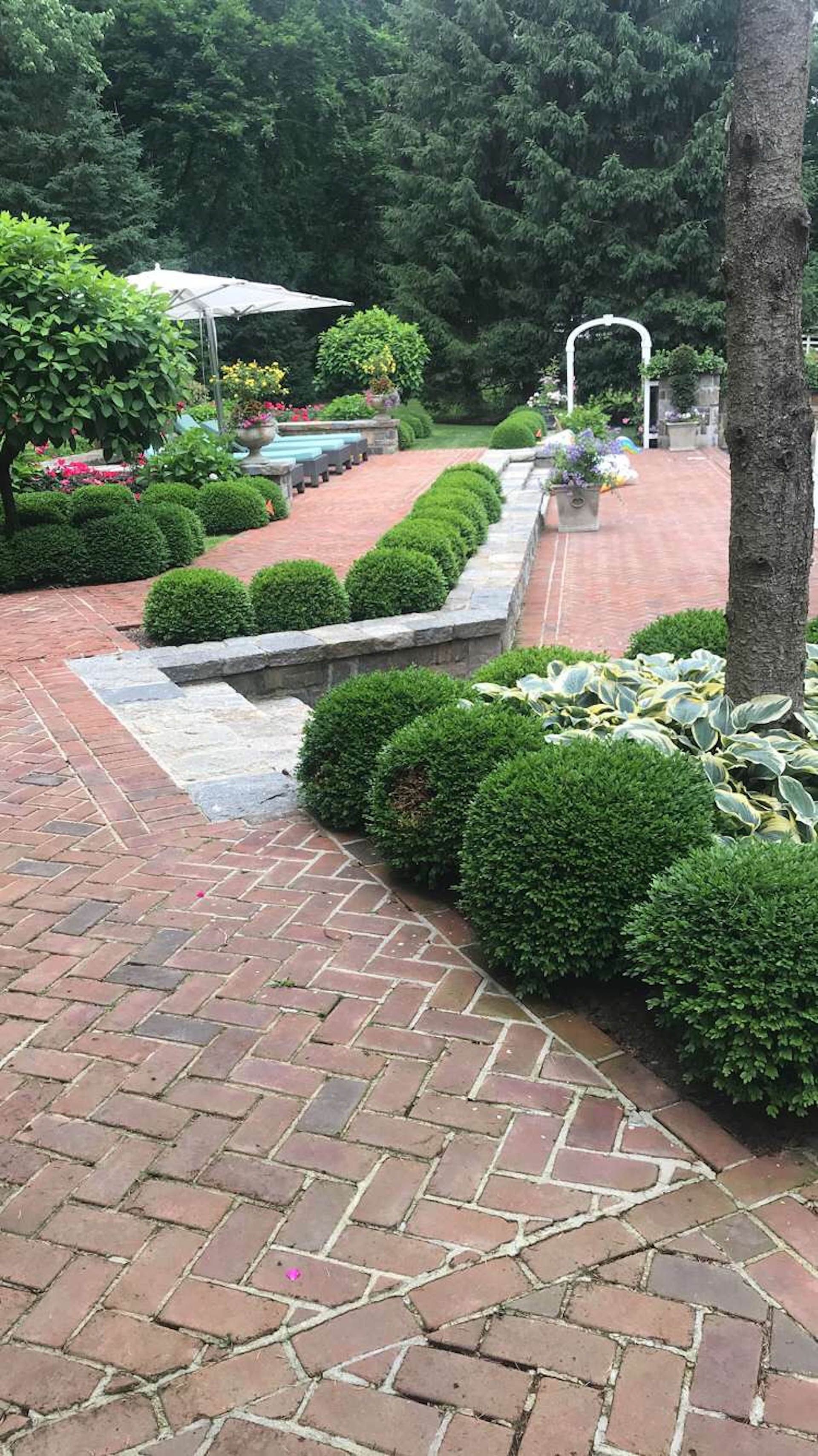 A brick walkway leading to a pool in a garden.