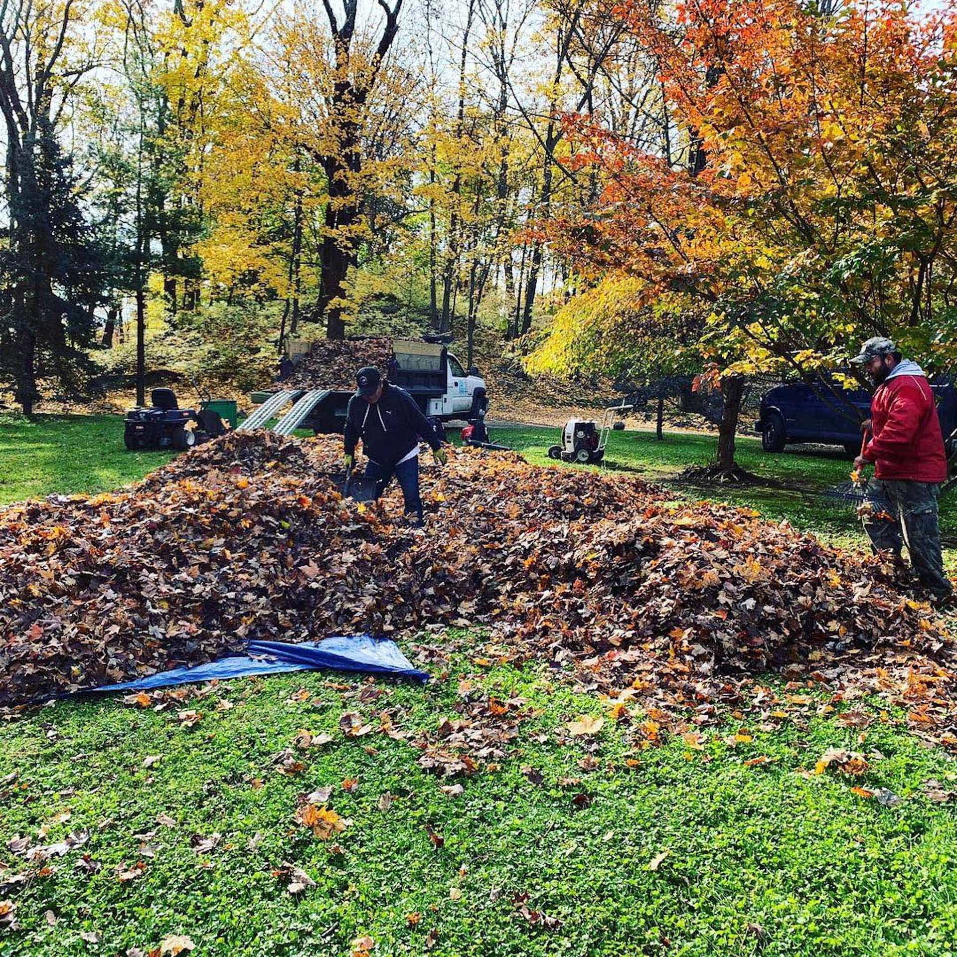 A man is standing in front of a pile of leaves.