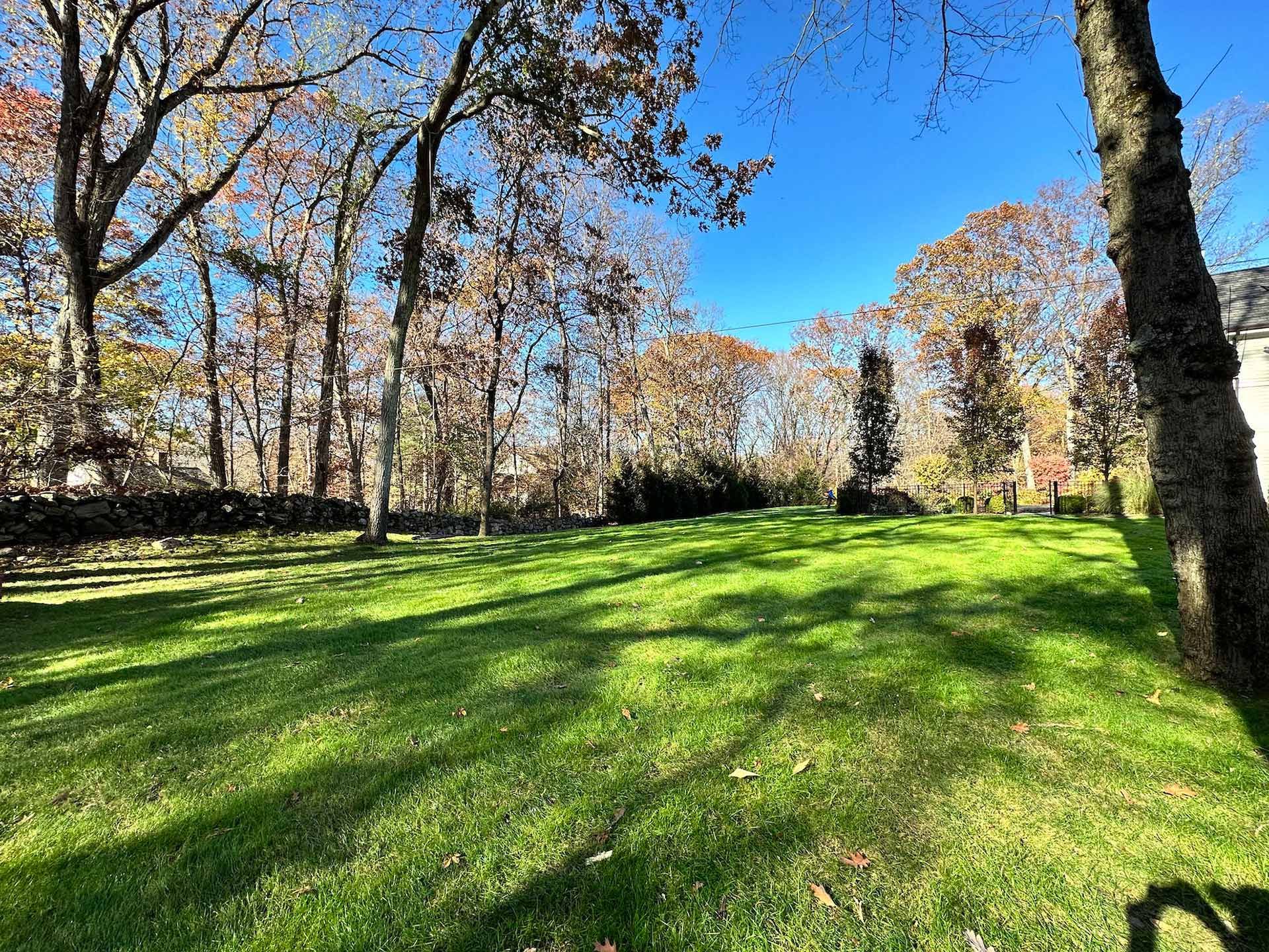 A large lush green field surrounded by trees on a sunny day.