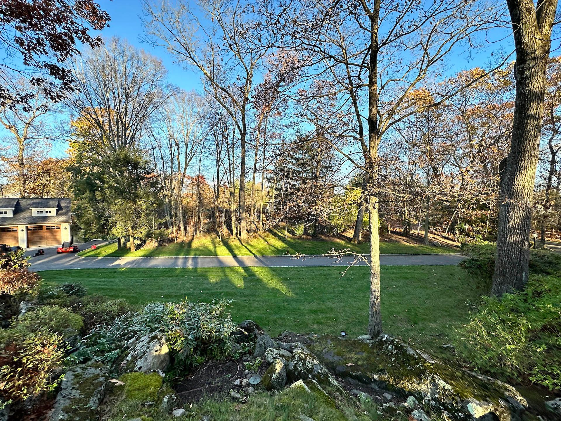 A lush green yard with trees and a house in the background.