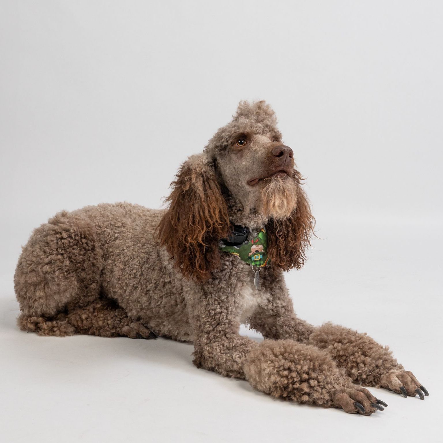 About Us Dalhart Funeral Home