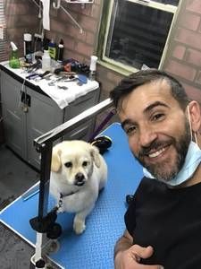 A man is taking a selfie with a dog on a grooming table.